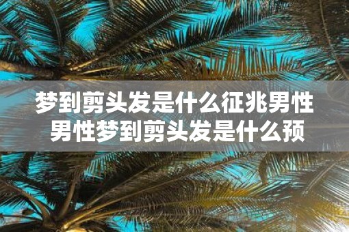 梦到剪头发是什么征兆男性 男性梦到剪头发是什么预兆