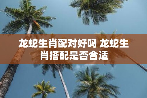 龙蛇生肖配对好吗 龙蛇生肖搭配是否合适