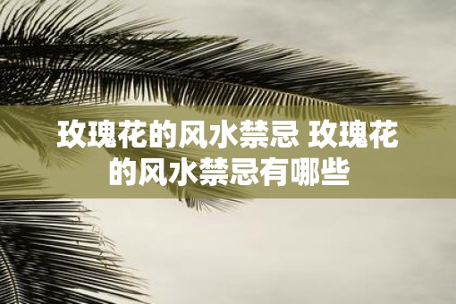 玫瑰花的风水禁忌 玫瑰花的风水禁忌有哪些