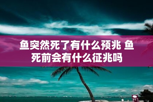 鱼突然死了有什么预兆 鱼死前会有什么征兆吗
