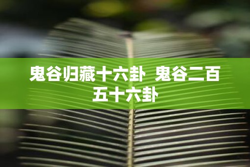 鬼谷归藏十六卦  鬼谷二百五十六卦