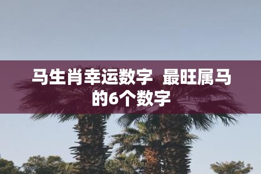 马生肖幸运数字  最旺属马的6个数字