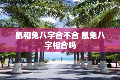 鼠和兔八字合不合 鼠兔八字相合吗