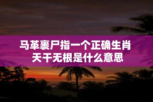 马革裹尸指一个正确生肖  天干无根是什么意思