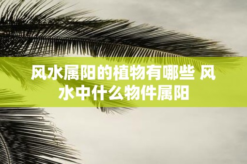 风水属阳的植物有哪些 风水中什么物件属阳