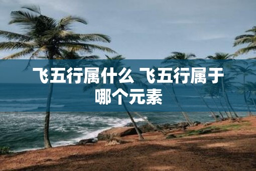 飞五行属什么 飞五行属于哪个元素
