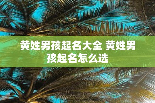 黄姓男孩起名大全 黄姓男孩起名怎么选