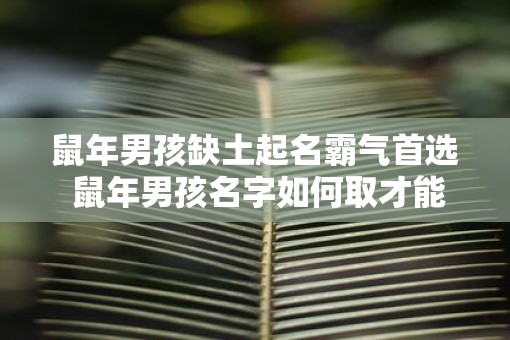 鼠年男孩缺土起名霸气首选 鼠年男孩名字如何取才能格外有气场