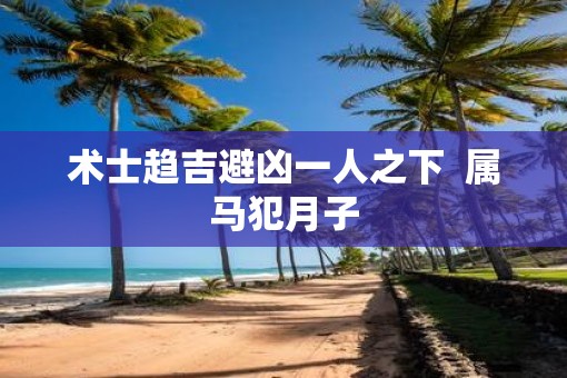 术士趋吉避凶一人之下  属马犯月子