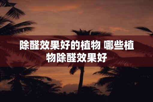 除醛效果好的植物 哪些植物除醛效果好