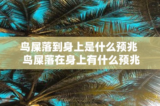 鸟屎落到身上是什么预兆  鸟屎落在身上有什么预兆