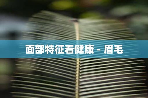 面部特征看健康 - 眉毛