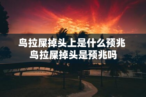 鸟拉屎掉头上是什么预兆 鸟拉屎掉头是预兆吗