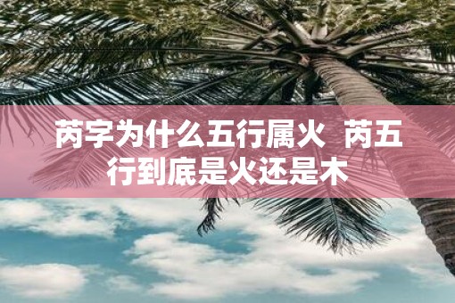 芮字为什么五行属火  芮五行到底是火还是木