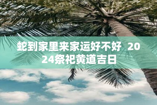 蛇到家里来家运好不好  2025祭祀黄道吉日