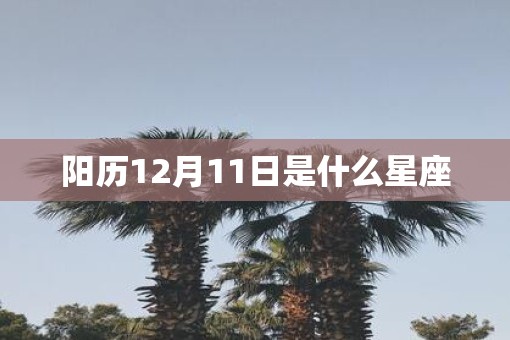 阳历12月11日是什么星座