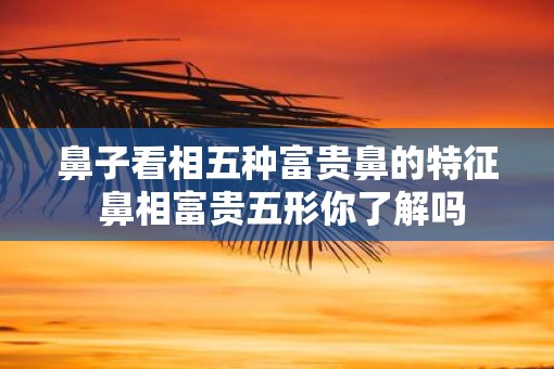 鼻子看相五种富贵鼻的特征 鼻相富贵五形你了解吗
