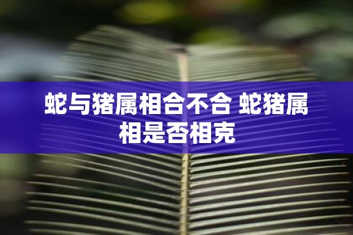 蛇与猪属相合不合 蛇猪属相是否相克