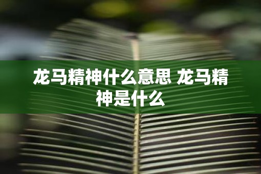 龙马精神什么意思 龙马精神是什么