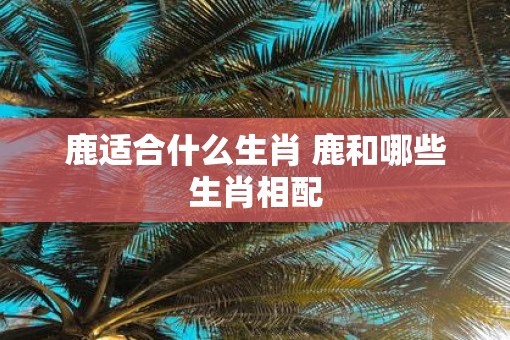 鹿适合什么生肖 鹿和哪些生肖相配