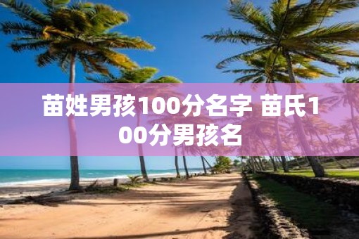 苗姓男孩100分名字 苗氏100分男孩名