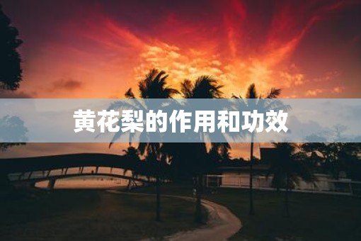 黄花梨的作用和功效
