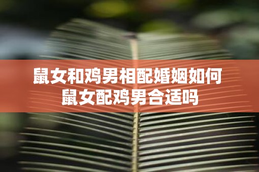 鼠女和鸡男相配婚姻如何 鼠女配鸡男合适吗