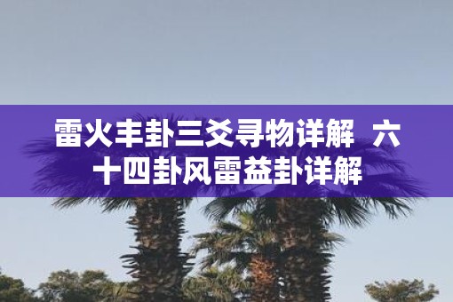 雷火丰卦三爻寻物详解  六十四卦风雷益卦详解