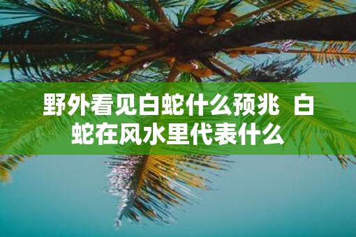 野外看见白蛇什么预兆 白蛇在风水里代表什么 野外看见白蛇什么预兆 白蛇在风水里代表什么