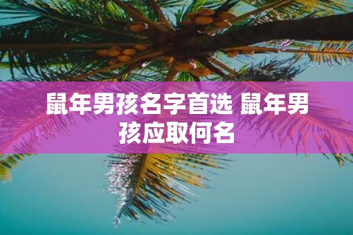 鼠年男孩名字首选 鼠年男孩应取何名
