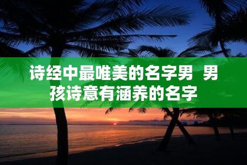 诗经中最唯美的名字男  男孩诗意有涵养的名字