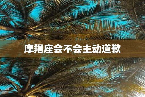 摩羯座会不会主动道歉