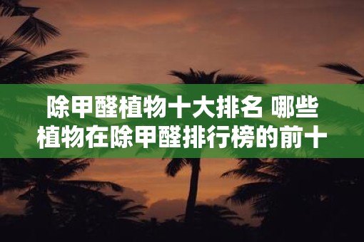 除甲醛植物十大排名 哪些植物在除甲醛排行榜的前十