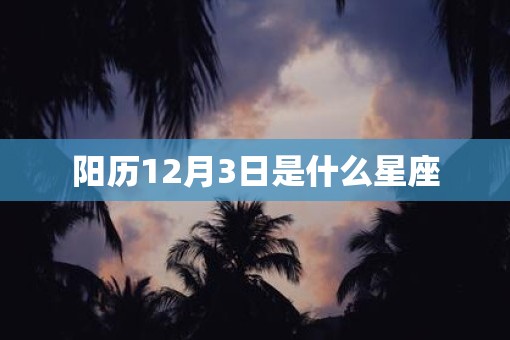 阳历12月3日是什么星座