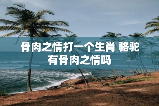 骨肉之情打一个生肖 骆驼有骨肉之情吗