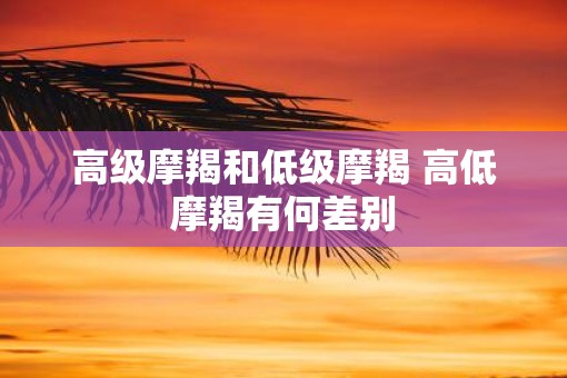高级摩羯和低级摩羯 高低摩羯有何差别