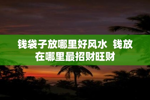 钱袋子放哪里好风水  钱放在哪里最招财旺财