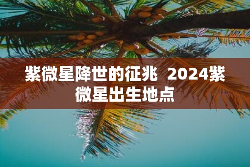 紫微星降世的征兆  2025紫微星出生地点