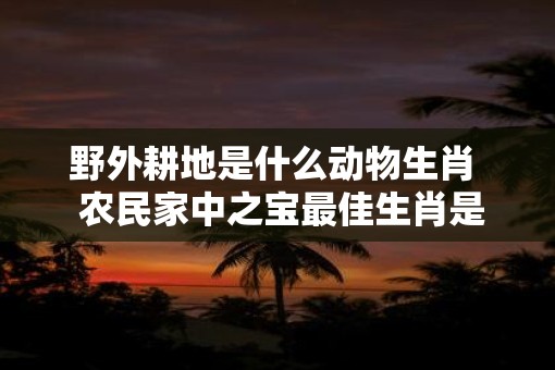 野外耕地是什么动物生肖  农民家中之宝最佳生肖是什么