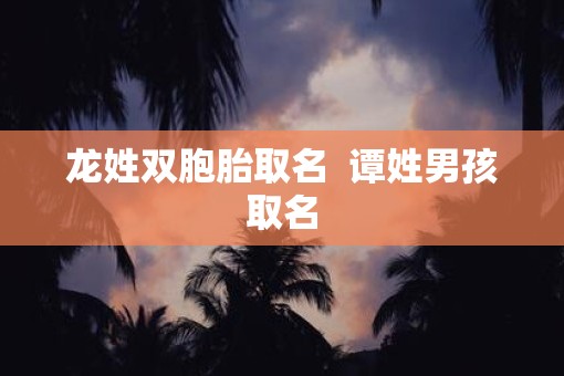 龙姓双胞胎取名  谭姓男孩取名