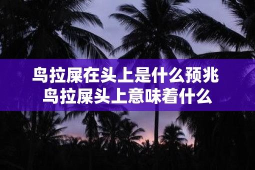 鸟拉屎在头上是什么预兆 鸟拉屎头上意味着什么