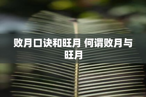 败月口诀和旺月 何谓败月与旺月