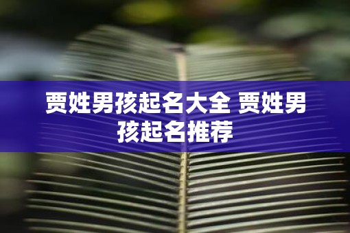 贾姓男孩起名大全 贾姓男孩起名推荐