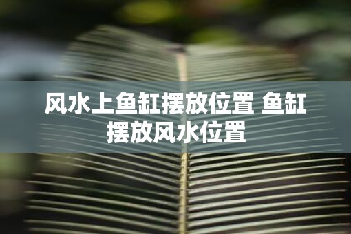 风水上鱼缸摆放位置 鱼缸摆放风水位置