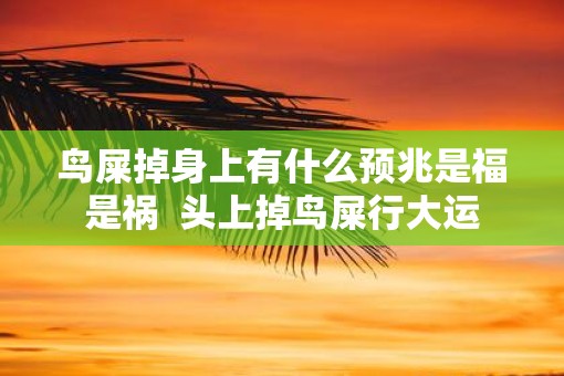 鸟屎掉身上有什么预兆是福是祸  头上掉鸟屎行大运