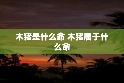 木猪是什么命 木猪属于什么命