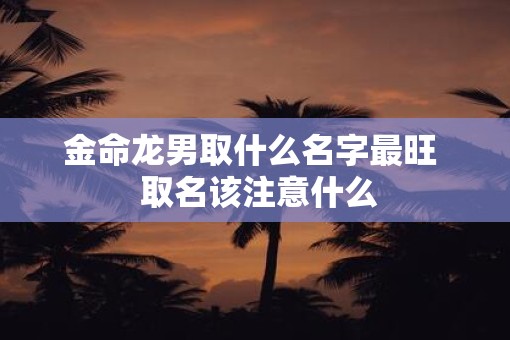 金命龙男取什么名字最旺  取名该注意什么