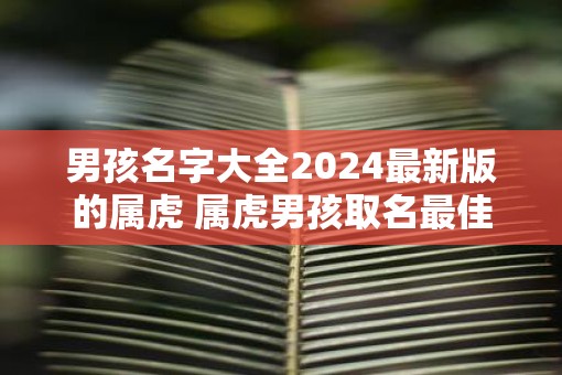 男孩名字大全2025最新版的属虎 属虎男孩取名最佳字