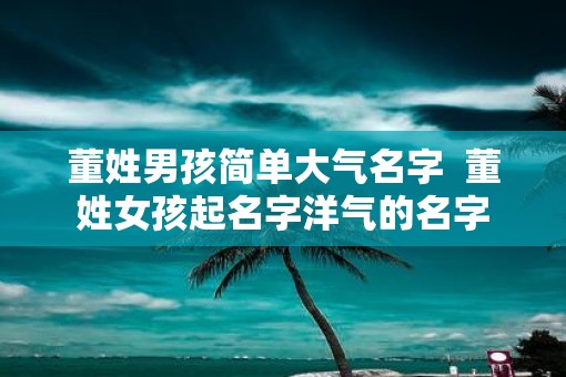 董姓男孩简单大气名字  董姓女孩起名字洋气的名字