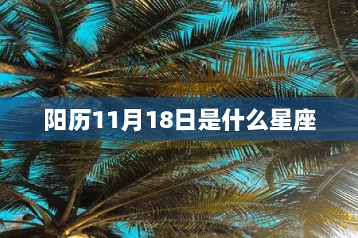 阳历11月18日是什么星座